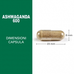 Ashwaganda dimensione capsula