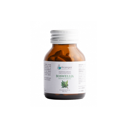 Arcangea- Boswellia