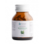 Arcangea- Boswellia