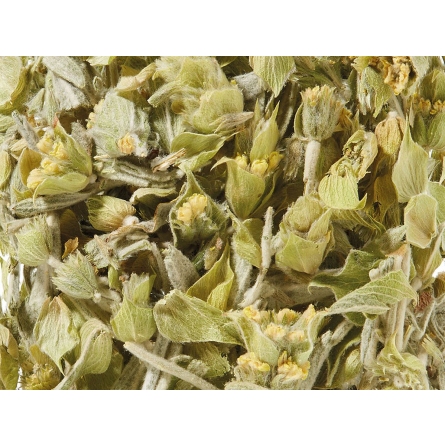 Tè montano greco Bio