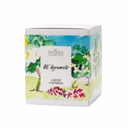 Diffusore ambientale scatola