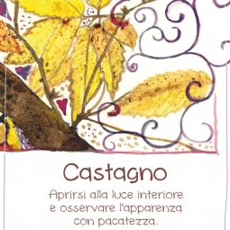 Spirito degli alberi Castagno (gocce)