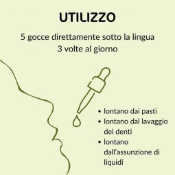Spirito degli alberi