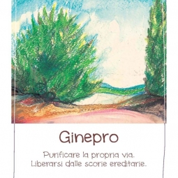 Spirito degli alberi Ginepro (gocce)