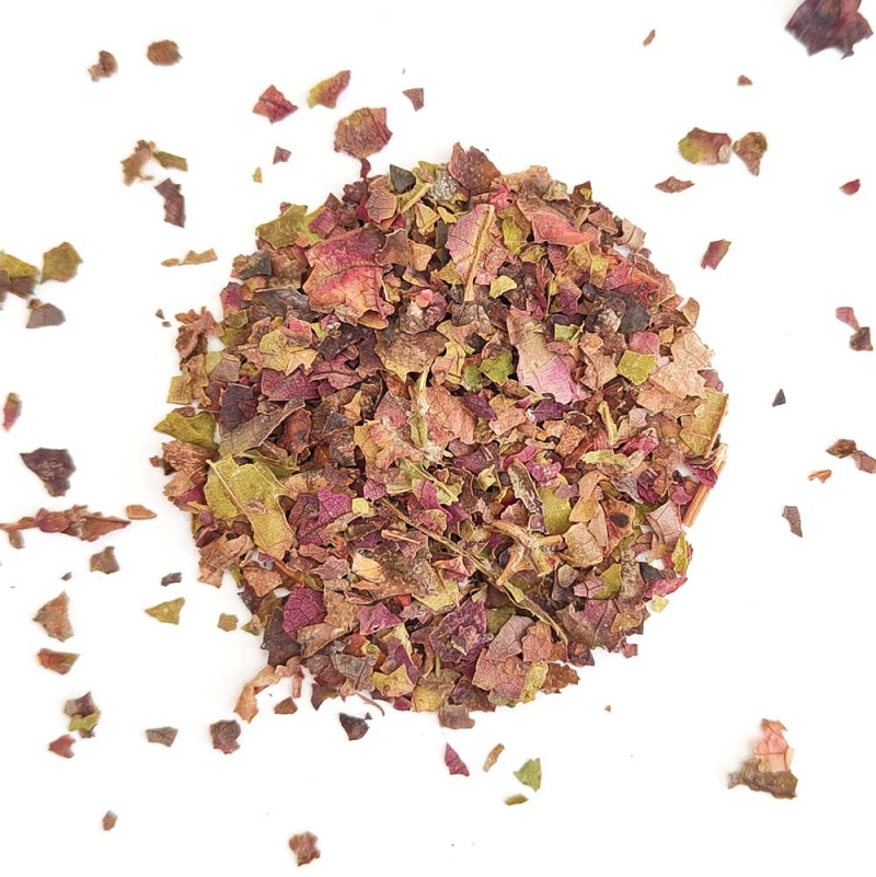Vite rossa in foglie taglio tisana bio