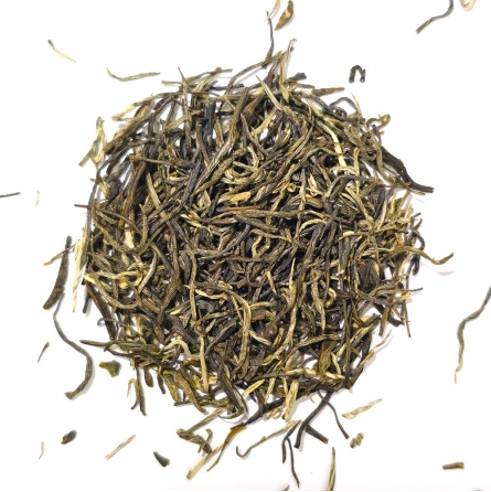 Xin Yang Mao Jian green tea raccolto 2023