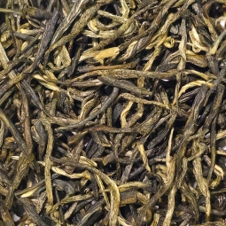 Xin Yang Mao Jian green tea raccolto 2023