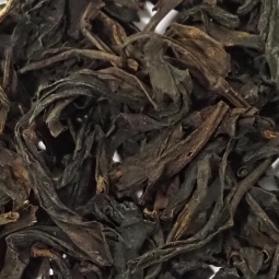 Da Hong Pao wulong tea bio raccolto 2023