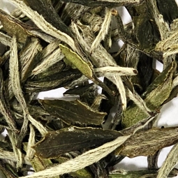 Bai Mu Dan Top Grade white tea raccolto 2023