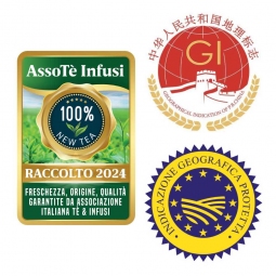 Huo Shan Huang Ya yellow tea raccolto 2024