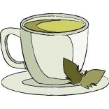 Tè verde in foglie di qualità vendita online | AmorNaturae.com