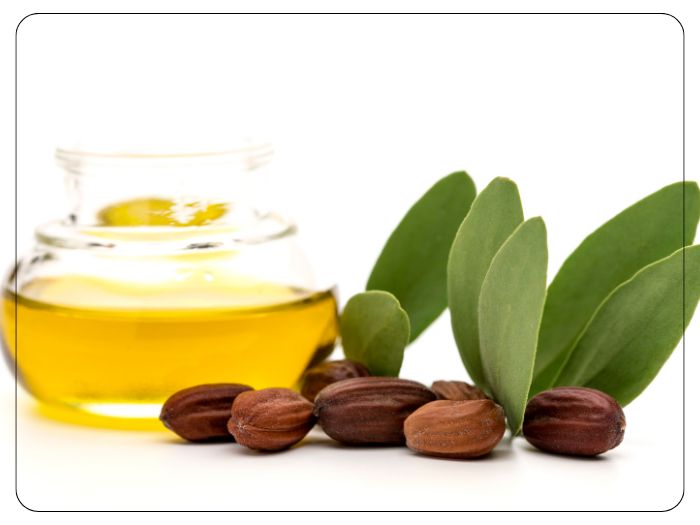 Olio di jojoba